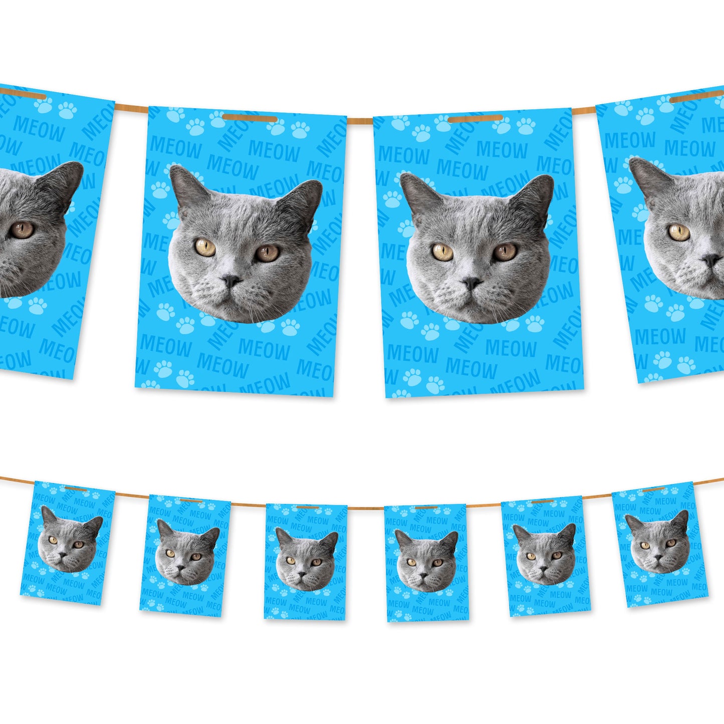 Ihre Katze auf der Ammer
