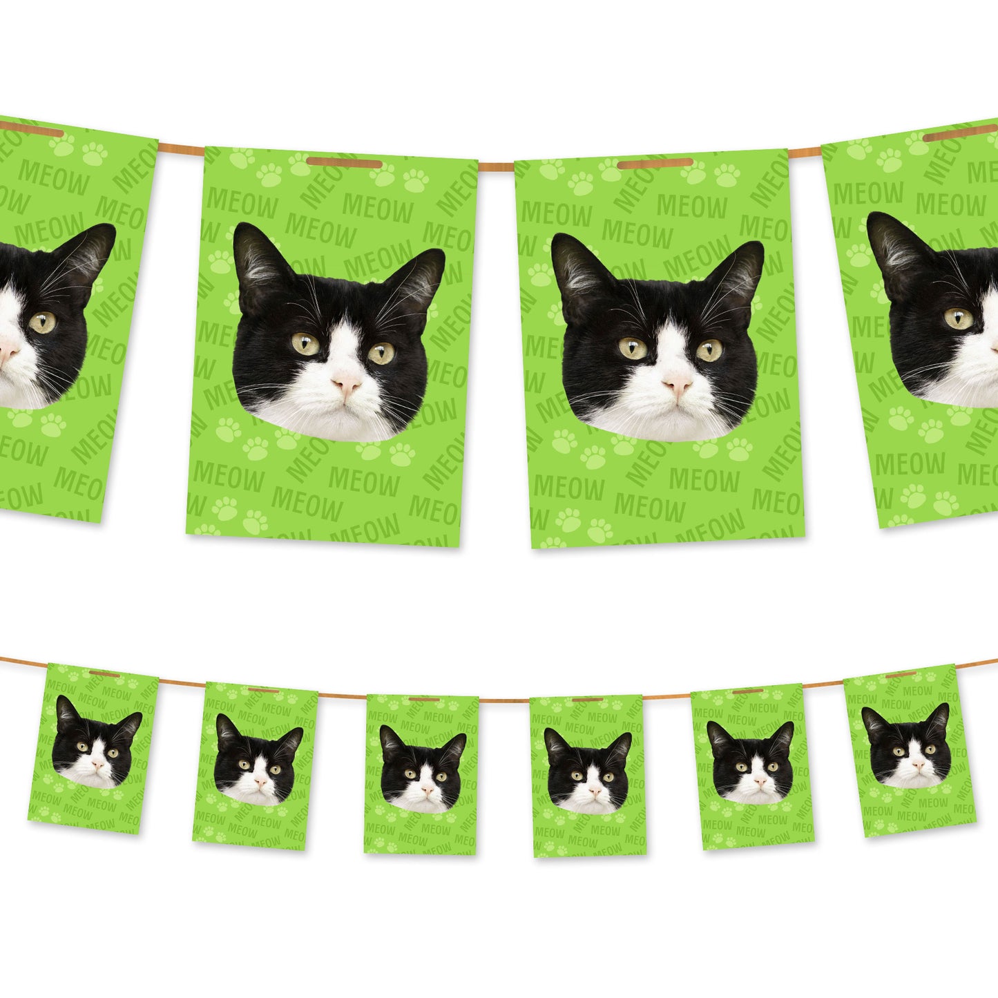 Ihre Katze auf der Ammer