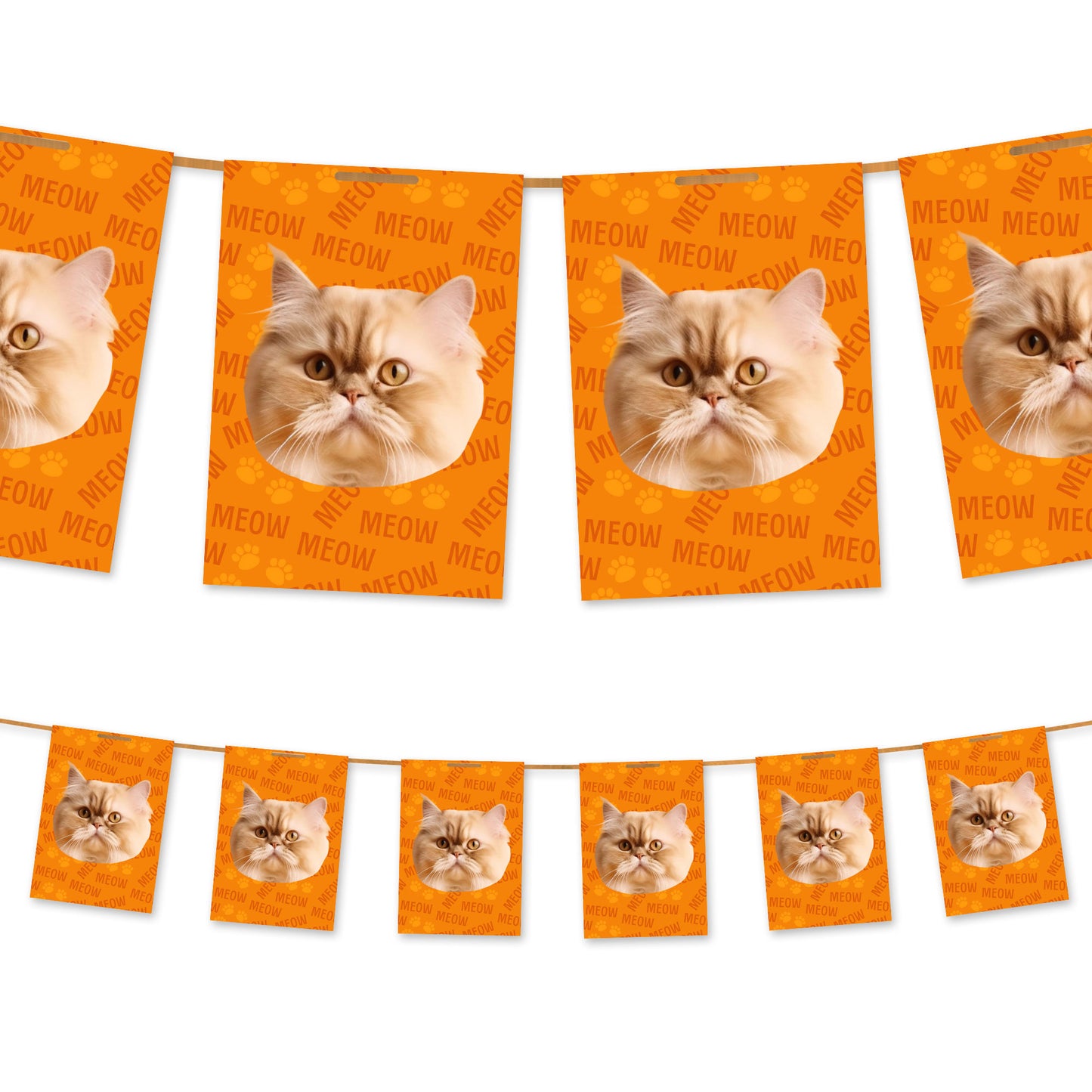Ihre Katze auf der Ammer