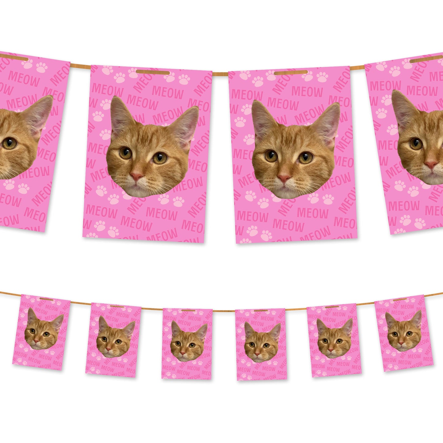 Ihre Katze auf der Ammer