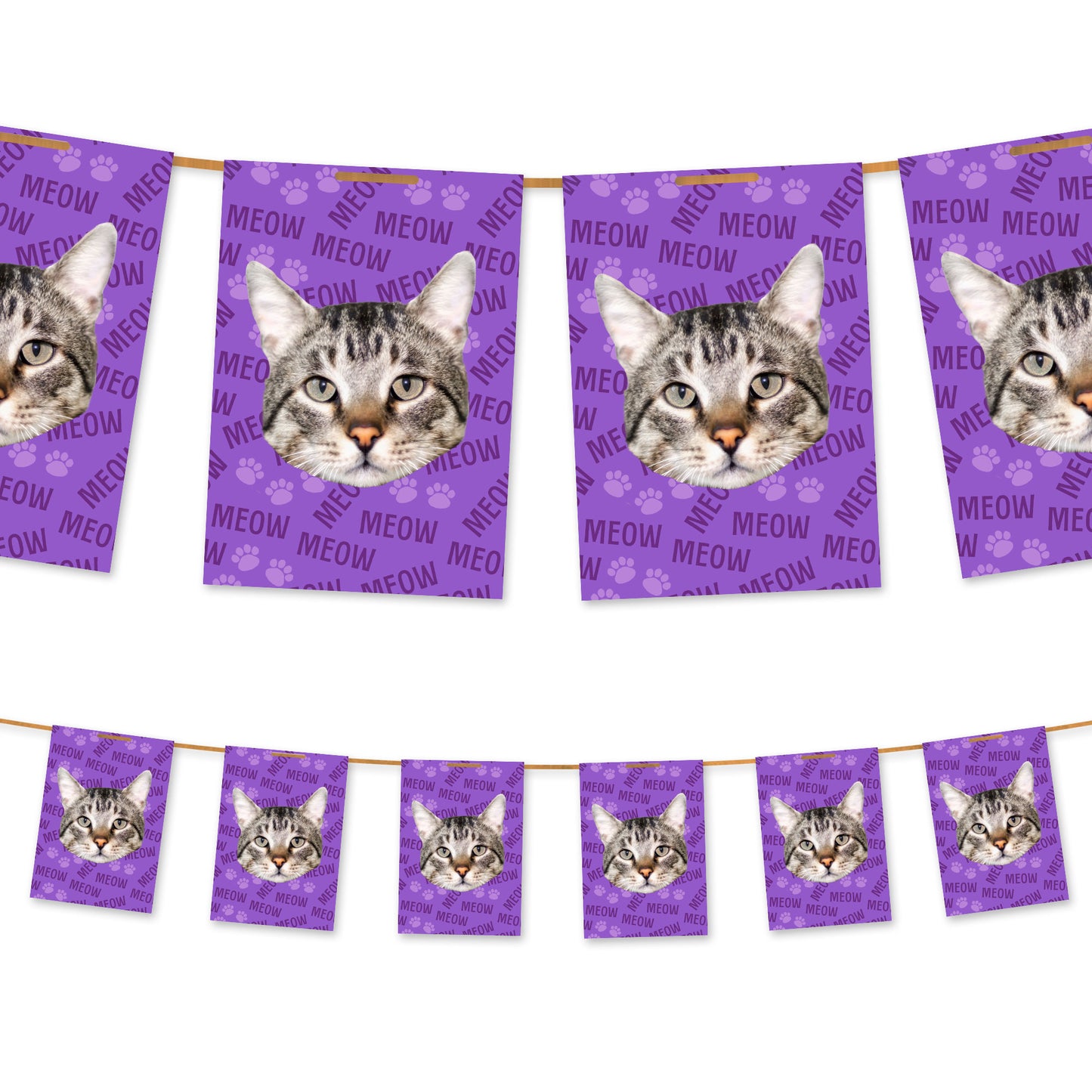 Ihre Katze auf der Ammer