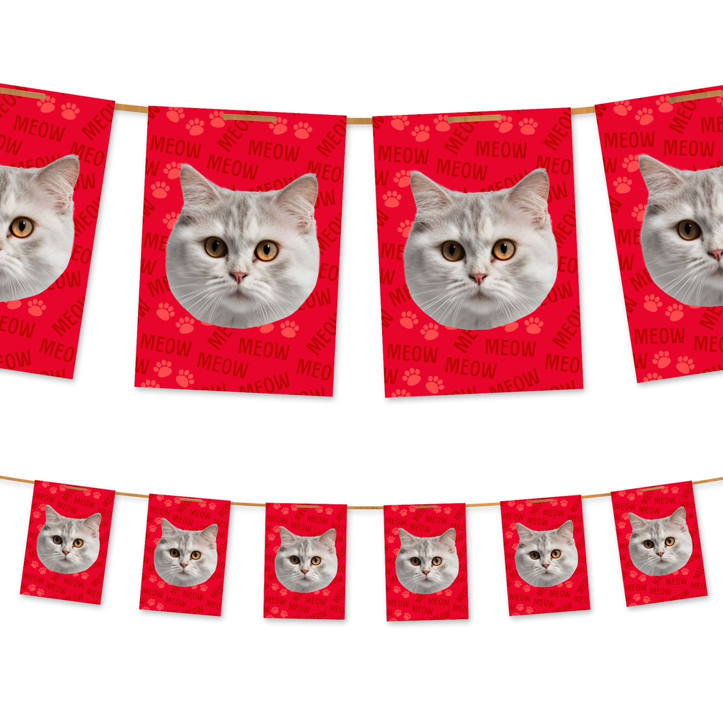 Ihre Katze auf der Ammer